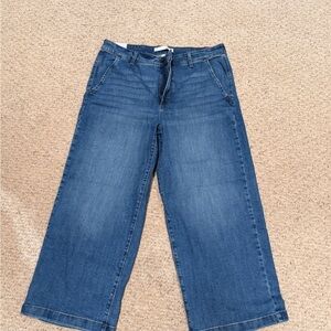 Ella Moss Dark Blue Flare Jeans